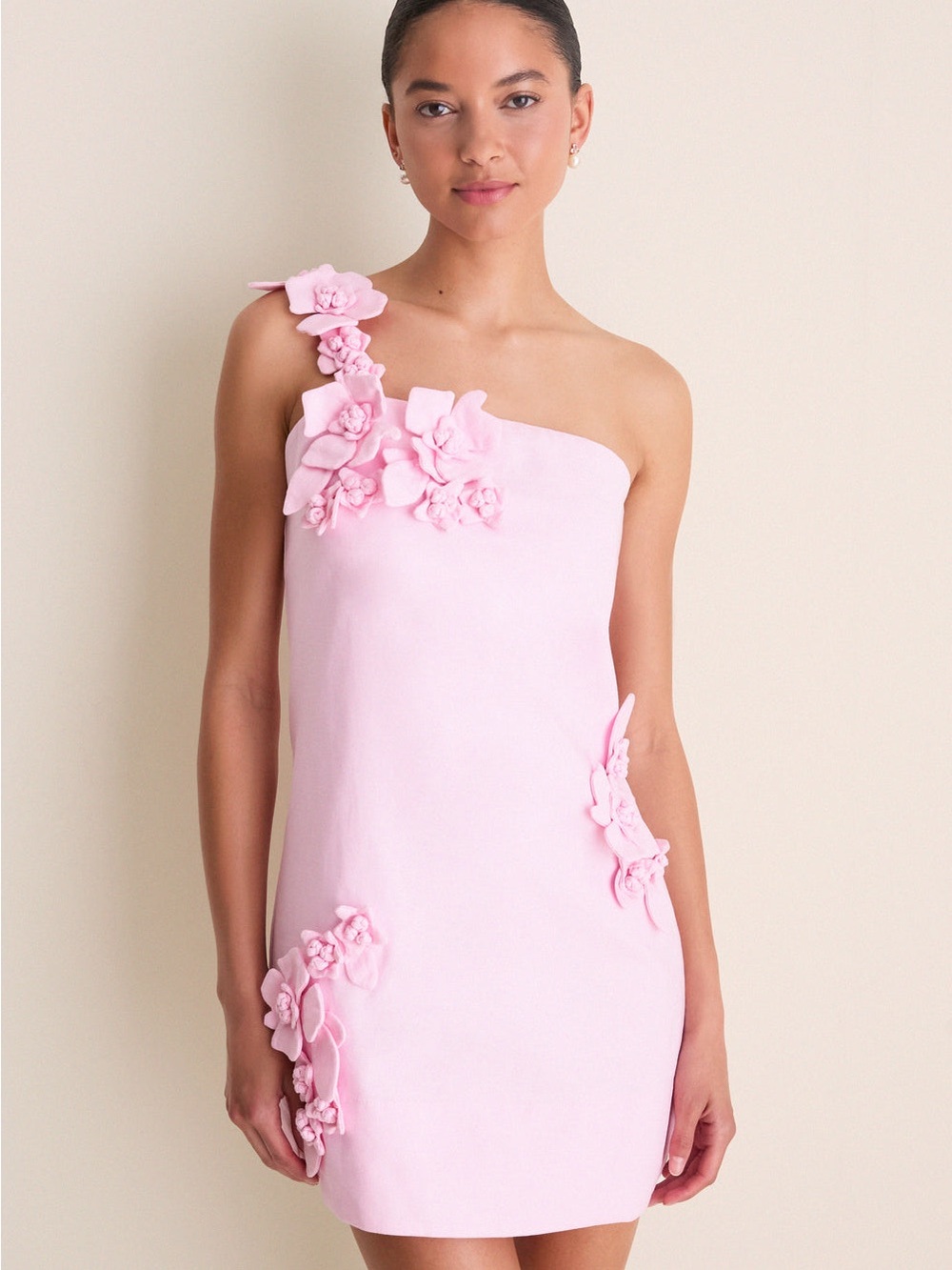 Hyacinth House Pink 3D Floral Applique Rosey Mini Dress Small NWT Tuckernuck